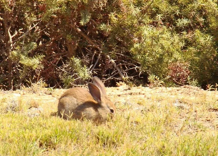 Kalimera Paros 3* Szánda María
