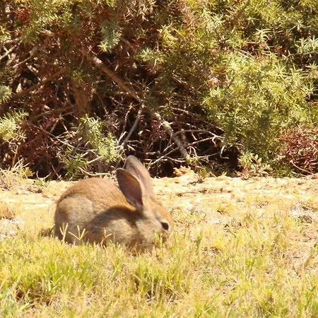 Kalimera Paros 3* Santa Maria (Paros)